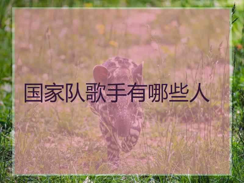 国家队歌手有哪些人