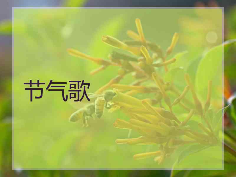 节气歌