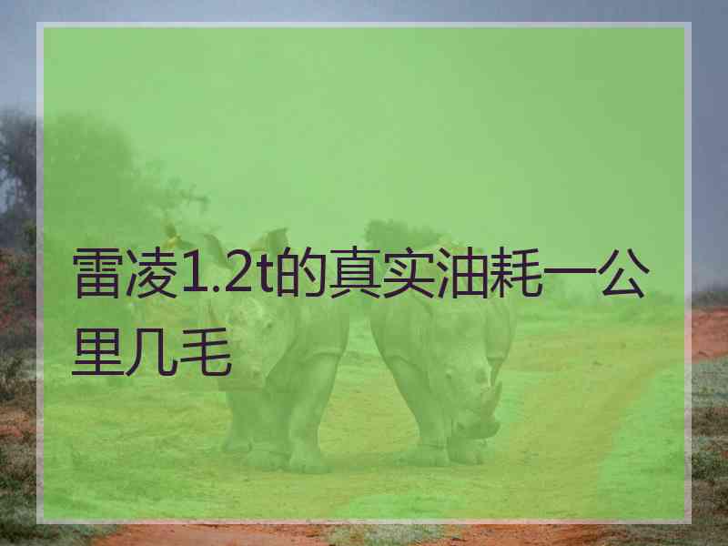 雷凌1.2t的真实油耗一公里几毛