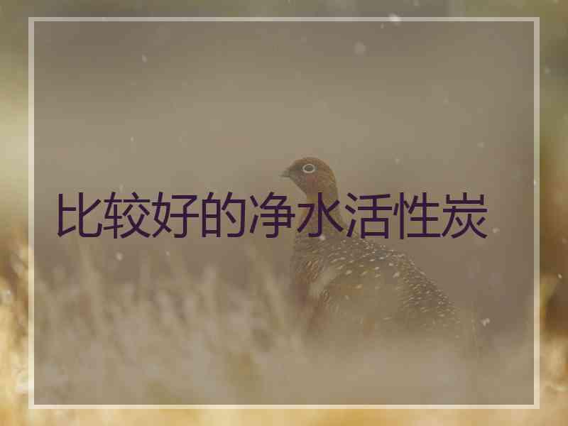 比较好的净水活性炭