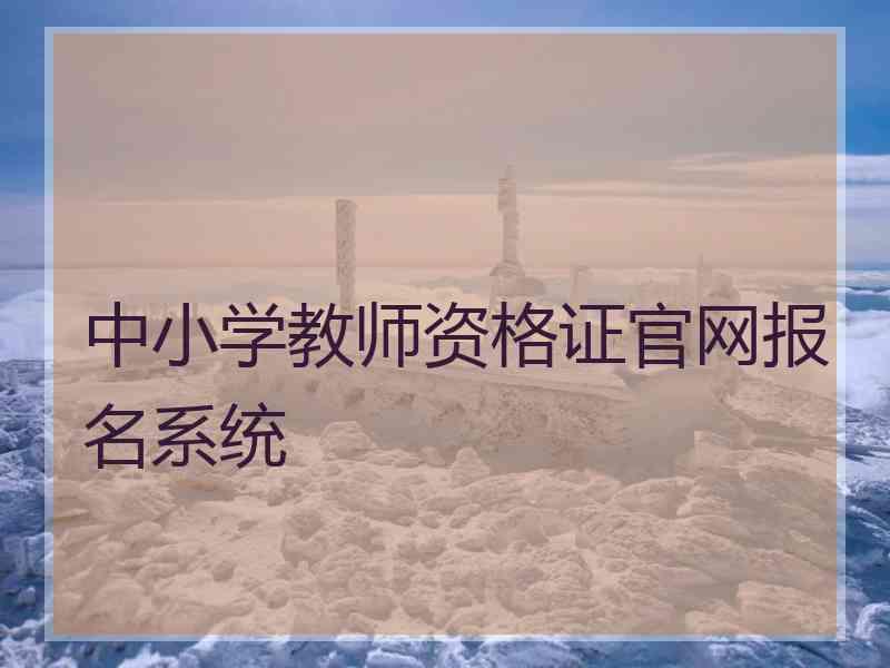 中小学教师资格证官网报名系统