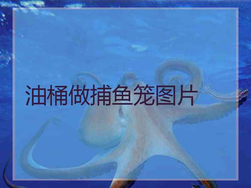 油桶做捕鱼笼图片