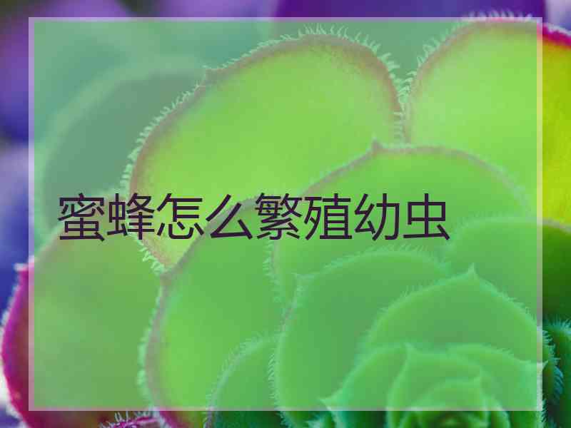 蜜蜂怎么繁殖幼虫