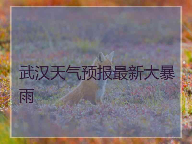 武汉天气预报最新大暴雨