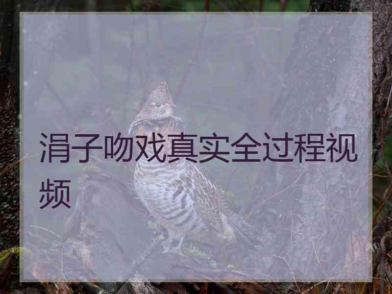 涓子吻戏真实全过程视频