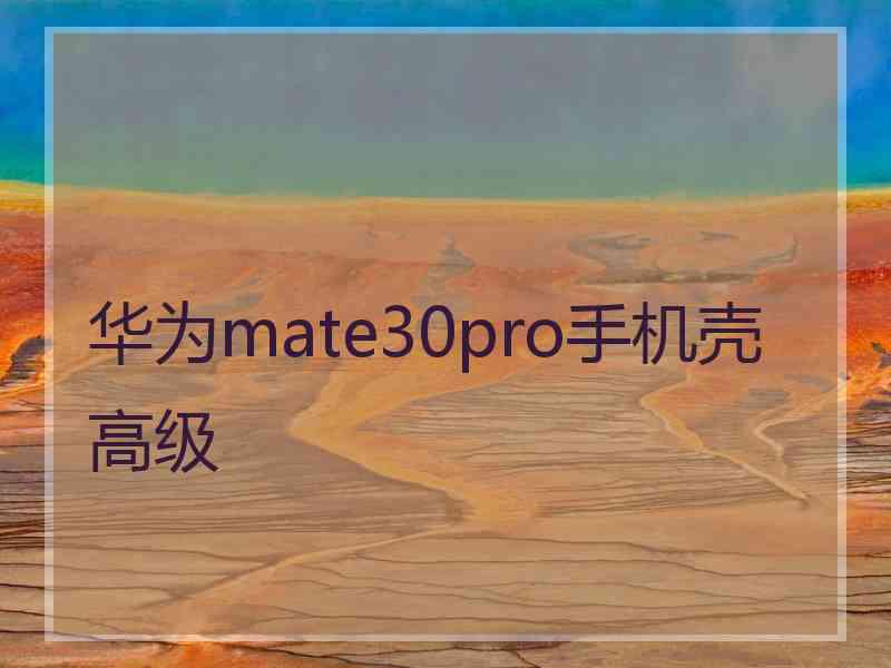 华为mate30pro手机壳高级
