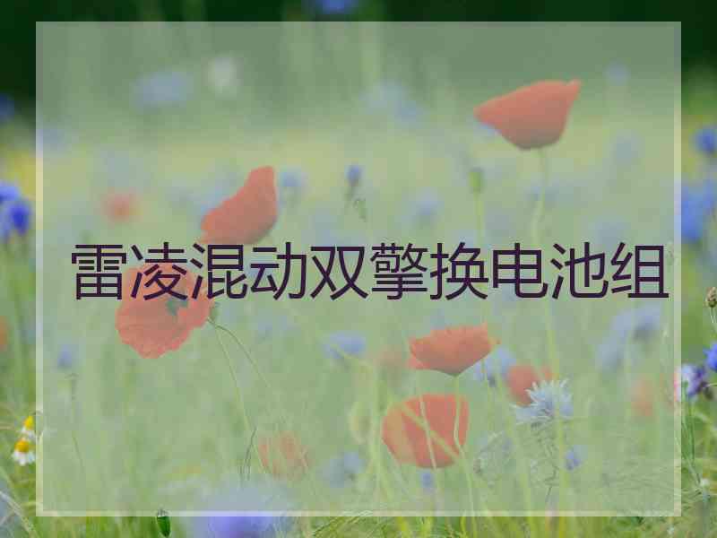 雷凌混动双擎换电池组
