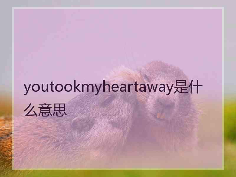 youtookmyheartaway是什么意思