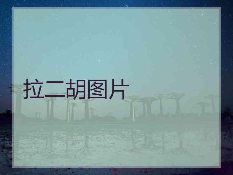 拉二胡图片 拉二胡图片