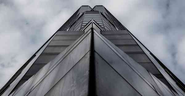 vb能开发大型软件么