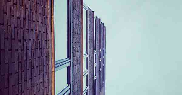 vn加速器免费下载