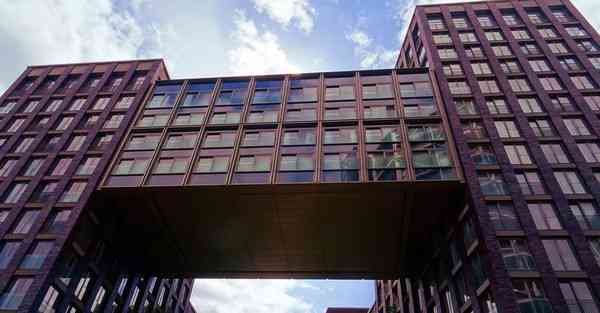 绿豆加速器最新版_绿豆加速器最新版