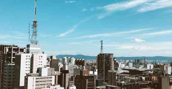 老王vp免费下载