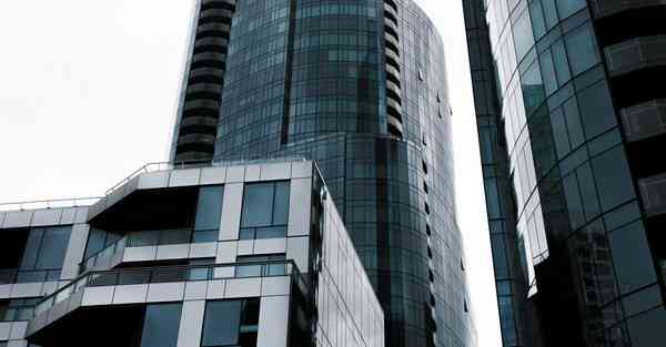 花猫是什么软件_花猫是什么品种图片