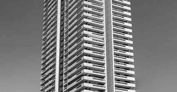 加速猫如何使用