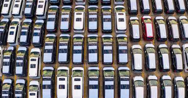 免费飞哥大英雄电视剧40集