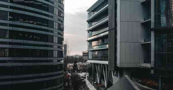 汪汪队立大功全集下载免费观看