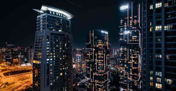 蒲公英vnp 可以用ins吗