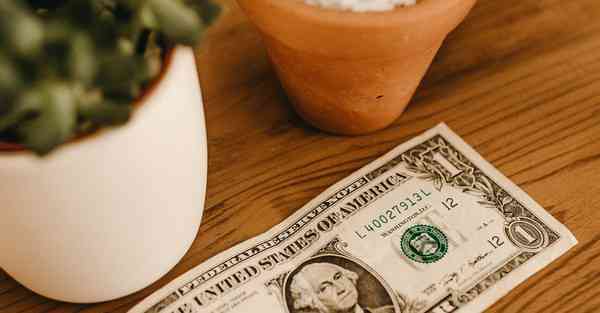 blue light怎么下载